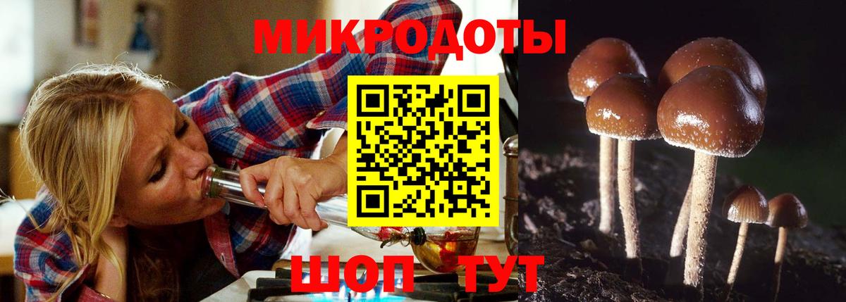купить наркоту  Псилоцибиновые грибы мухоморы  Вход с VPN  Азнакаево  Галлюциногенные грибы Magic Shrooms 