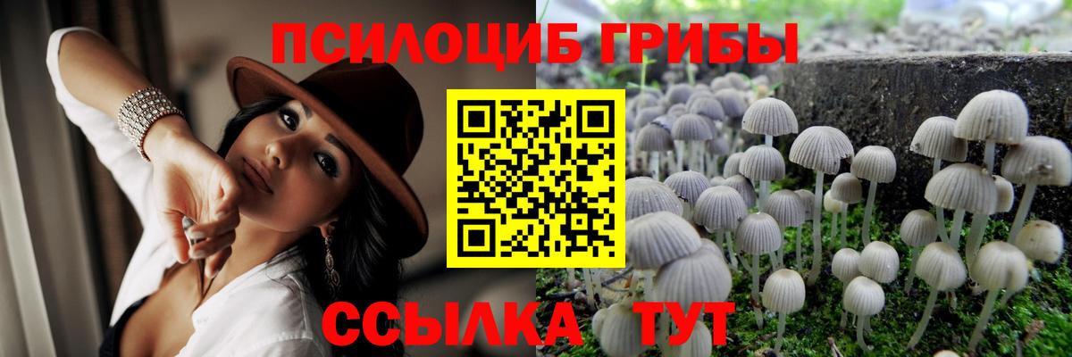 Псилоцибиновые грибы Psilocybe Азнакаево